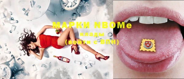 ECSTASY Алзамай