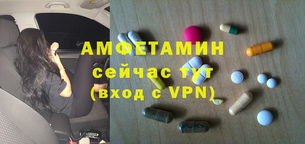ECSTASY Алзамай