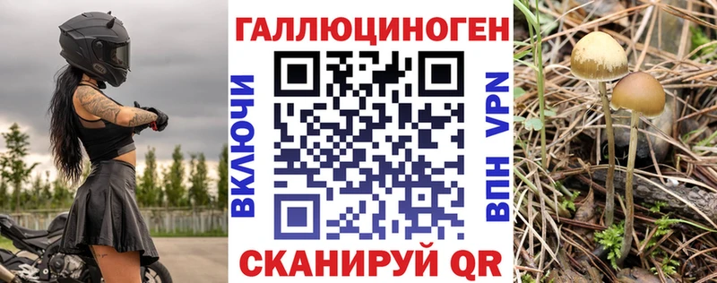 Галлюциногенные грибы прущие грибы  Ардатов 